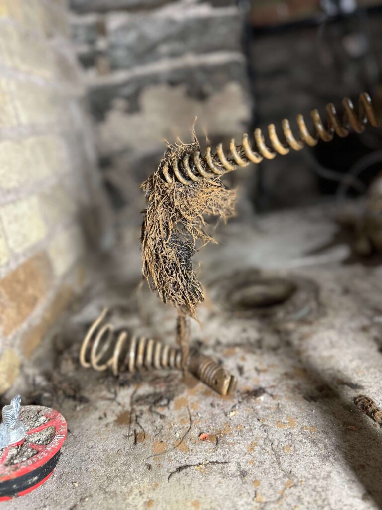An image of a drain cleaning auger head with lots of tree roots taken from a customers home in the Niagara region.